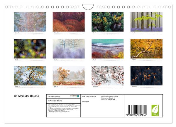 Produktbild: Im Atem der B&auml;ume (Wandkalender 2026 DIN A4 quer), CALVENDO Monatskalender