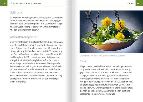 Produktbild: L&ouml;wenzahn - Wunderkraut f&uuml;r Resilienz und Lebenskraft. Kompakt-Ratgeber