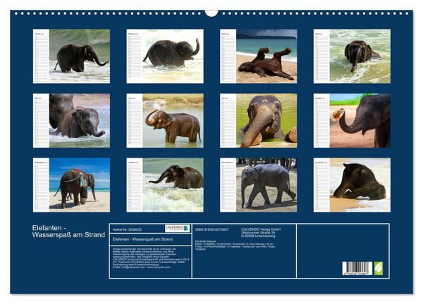 Produktbild: Elefanten - Wasserspa&szlig; am Strand (Wandkalender 2026 DIN A2 quer), CALVENDO Monatskalender