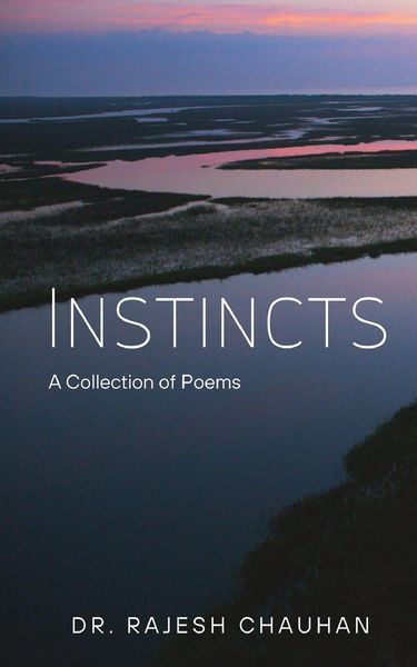 Produktbild: Instincts a Collection of Poems