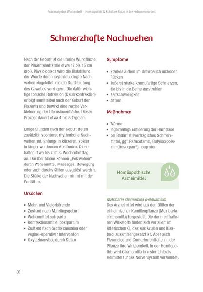 Produktbild: Praxisratgeber Wochenbett. Beschwerden lindern und vorbeugen.