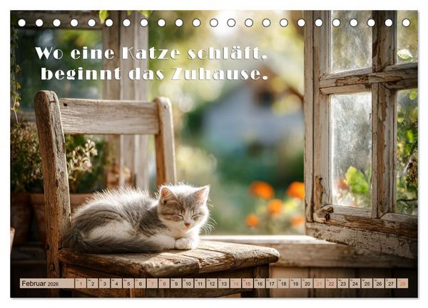 Produktbild: Miau-velous Pfotenpoesie (Tischkalender 2026 DIN A5 quer), CALVENDO Monatskalender