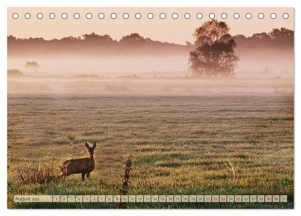 Produktbild: Morgengl&uuml;hen & Nebelschimmer (Tischkalender 2026 DIN A5 quer), CALVENDO Monatskalender
