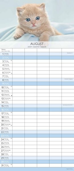 Kätzchen 2026 Familienplaner - Familienkalender - Wandkalender - 19,5x45