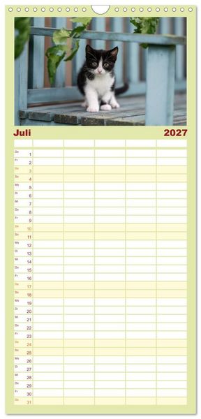 Produktbild: Familienplaner 2027 - Kitten auf Entdeckungsreise mit 5 Spalten (Wandkalender, 21 x 45 cm) CALVENDO