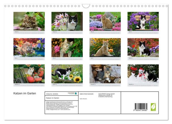 Produktbild: Katzen im Garten (Wandkalender 2026 DIN A3 quer), CALVENDO Monatskalender