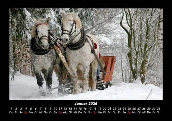Produktbild: Pferde Kalender 2026 Fotokalender DIN A3