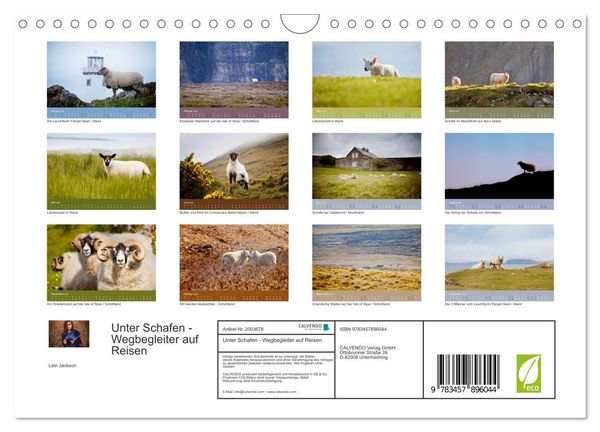 Produktbild: Unter Schafen - Wegbegleiter auf Reisen (Wandkalender 2026 DIN A4 quer), CALVENDO Monatskalender