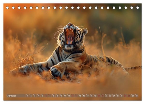 Produktbild: Ansteckend m&uuml;de! (Tischkalender 2026 DIN A5 quer), CALVENDO Monatskalender