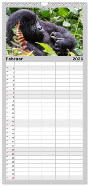 Produktbild: Familienplaner 2026 - Gorillas ohne Nebel mit 5 Spalten (Wandkalender, 21 x 45 cm) CALVENDO