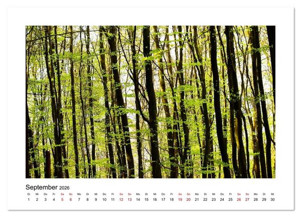 Produktbild: Zauberhafte Landschaften im Odenwald (Wandkalender 2026 DIN A3 quer), CALVENDO Monatskalender