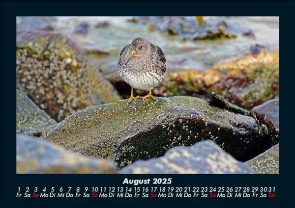 Produktbild: Nordsee 2025 Fotokalender DIN A5