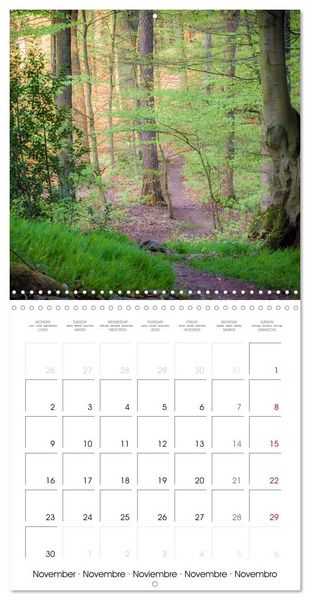 Produktbild: Les paysages d'Allemagne (Calendrier mural carr&eacute; 2026 30x30 cm) Calendrier double avec une page pour vos prises de notes