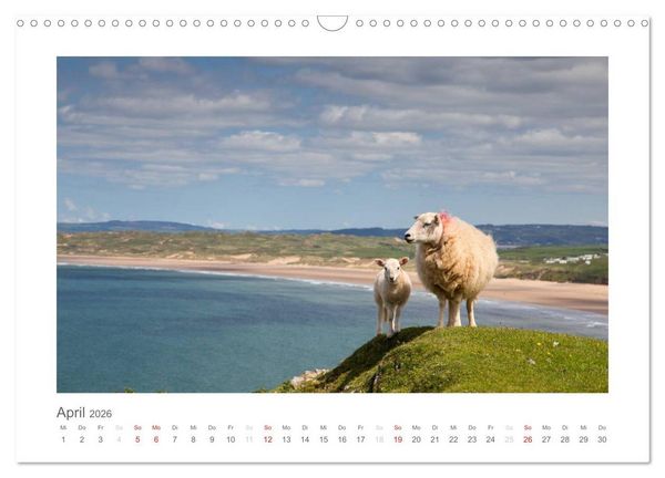 Produktbild: Wales / AT-Version (Wandkalender 2026 DIN A3 quer), CALVENDO Monatskalender