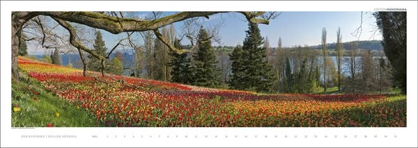 Produktbild: Der Bodensee