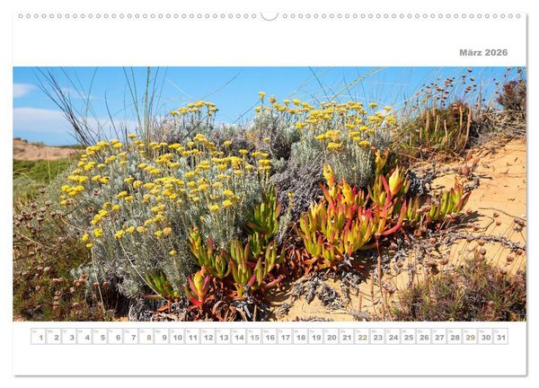 Produktbild: Portugal - Traumk&uuml;ste Costa Vicentina und Lagos (Wandkalender 2026 DIN A2 quer), CALVENDO Monatskalender