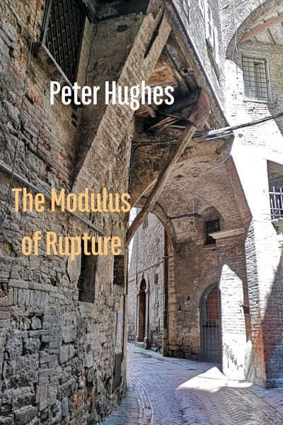 Produktbild: The Modulus of Rupture
