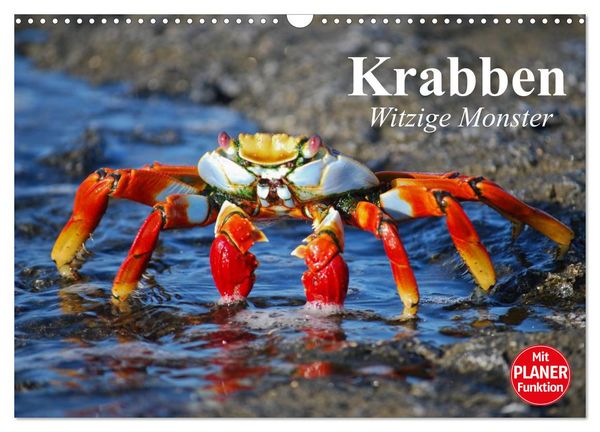 Produktbild: Krabben. Witzige Monster (Wandkalender 2026 DIN A3 quer), CALVENDO Monatskalender