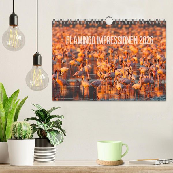 Produktbild: Flamingo Impressionen 2026 (Wandkalender 2026 DIN A4 quer), CALVENDO Monatskalender