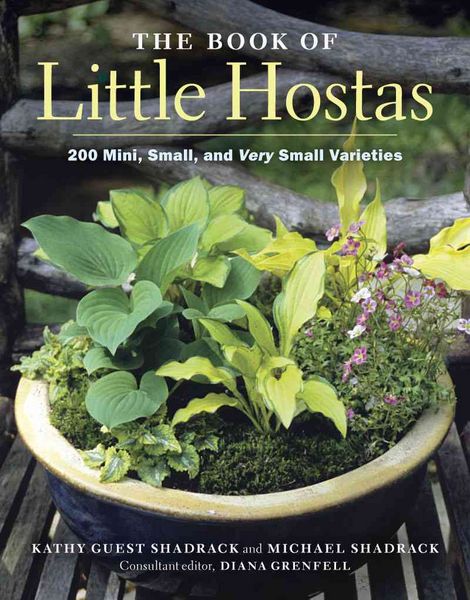 Produktbild: Shadrack, M: The Book of Little Hostas