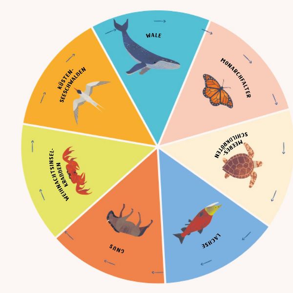 Produktbild: Wo wandern die Tiere hin?