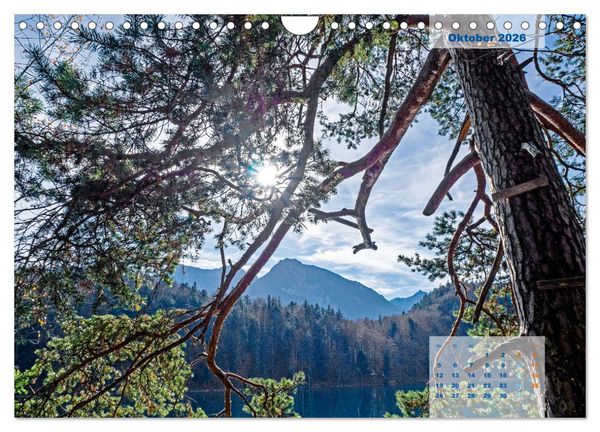 Produktbild: ALLG&Auml;U, im Wandel der Jahreszeiten. (Wandkalender 2026 DIN A4 quer), CALVENDO Monatskalender