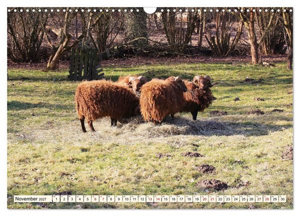 Produktbild: Brandenburg - Drei D&ouml;rfer im Naturpark Nuthe-Nieplitz - Fresdorf, St&uuml;cken, K&ouml;rzin (Wandkalender 2027 DIN A3 quer), CALVENDO Monatskalender