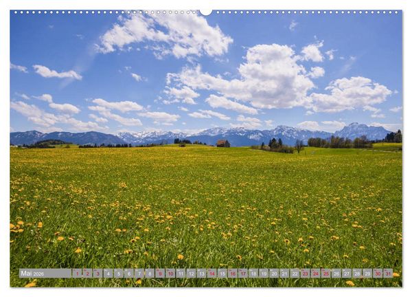 Produktbild: Allg&auml;u-Idylle (Wandkalender 2026 DIN A2 quer), CALVENDO Monatskalender