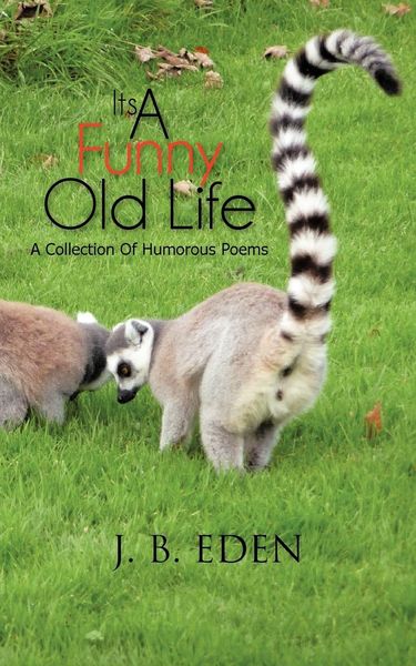 Produktbild: Its a Funny Old Life