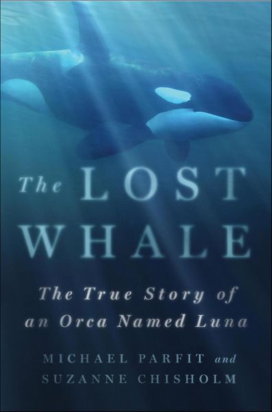 Produktbild: The Lost Whale