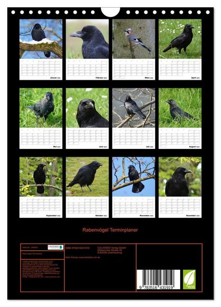 Produktbild: Rabenv&ouml;gel Terminplaner (Wandkalender 2026 DIN A4 hoch), CALVENDO Monatskalender