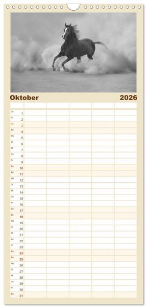 Produktbild: Familienplaner 2026 - Arabische Pferde mit 5 Spalten (Wandkalender, 21 x 45 cm) CALVENDO