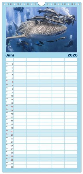Produktbild: Familienplaner 2026 - Faszination Tauchen - Neptuns Reich mit 5 Spalten (Wandkalender, 21 x 45 cm) CALVENDO