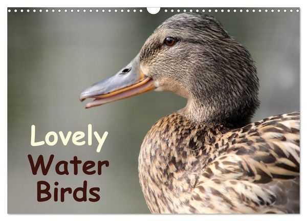 Produktbild: Lovely Water Birds (Wall Calendar 2027 DIN A3 landscape), CALVENDO 12 Month Wall Calendar