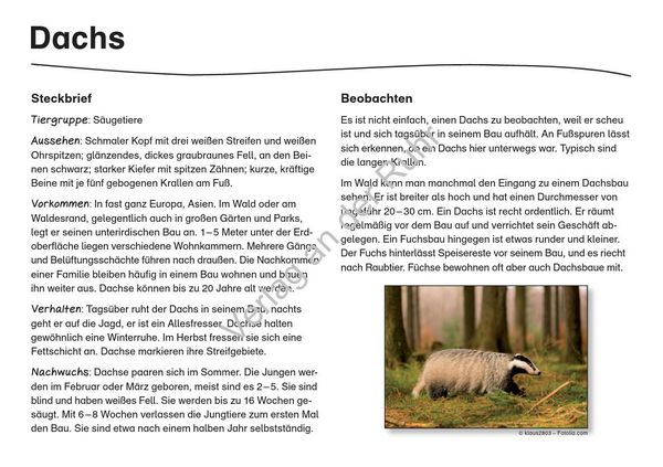 Produktbild: Waldtiere