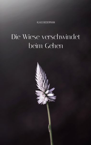 Produktbild: Die Wiese verschwindet beim Gehen