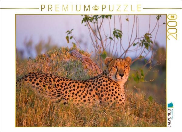 CALVENDO Puzzle Gepard, Masai Mara, Kenia. | 2000 Teile Lege-Größe 90x67cm Foto-Puzzle für glückliche Stunden