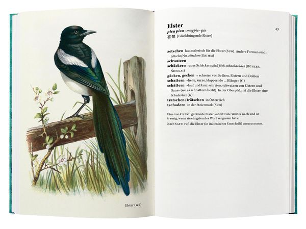 Produktbild: Singt der Vogel, ruft er oder schl&auml;gt er?