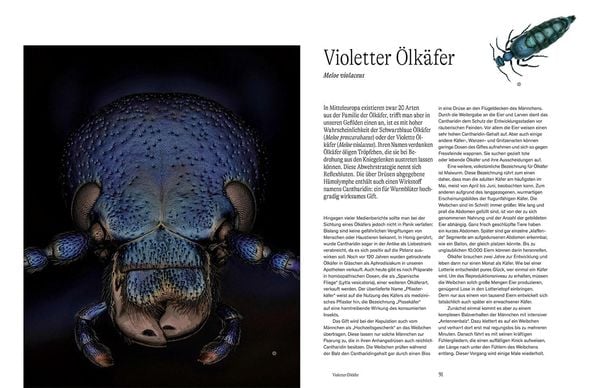 Produktbild: Von Angesicht zu Angesicht