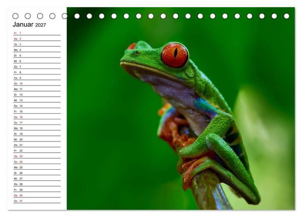 Produktbild: Costa Rica &ndash; Tierparadies im Regenwald (Tischkalender 2027 DIN A5 quer), CALVENDO Monatskalender