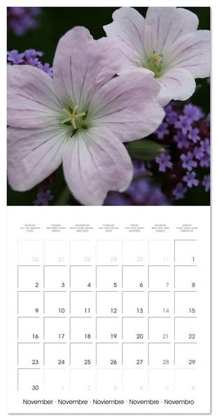 Produktbild: ENCHANTING FLOWERS (Wall Calendar 2026 12 &times; 12 Inch) CALVENDO 12 Month Wall Calendar