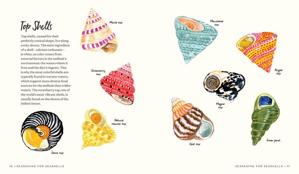 Produktbild: Searching for Seashells