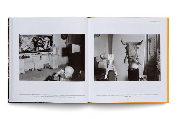 Produktbild: Picasso, Friends and Family