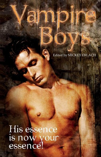 Produktbild: Vampire Boys