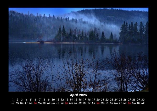 Produktbild: B&auml;ume 2025 Fotokalender DIN A3