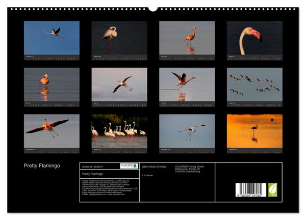 Produktbild: Pretty Flamingo (hochwertiger Premium Wandkalender 2026 DIN A2 quer), Kunstdruck in Hochglanz