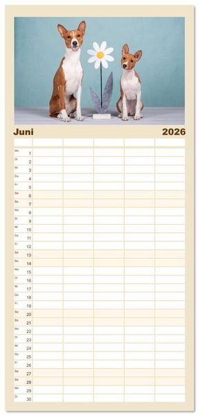 Produktbild: Familienplaner 2026 - Der Basenji mit 5 Spalten (Wandkalender, 21 x 45 cm) CALVENDO