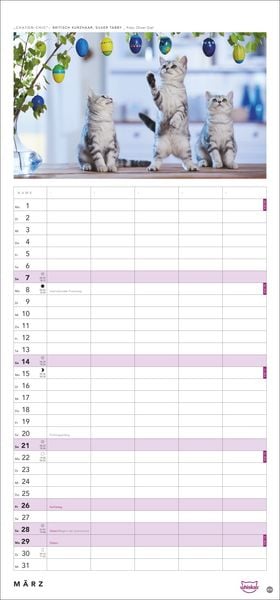 Produktbild: Whiskas Familienplaner 2027