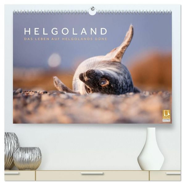 Helgoland - Das Leben auf der Düne Helgolands (hochwertiger Premium Wandkalender 2026 DIN A2 quer), Kunstdruck in Hochglanz