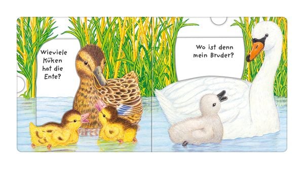 Produktbild: Tierkinder, wo seid ihr?